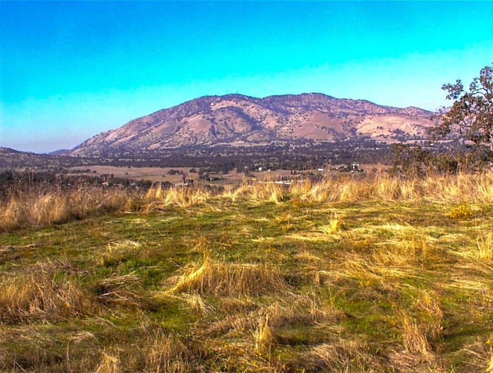 It was a cloudy day for pictures, but have no doubts this 5.31 acre parcel has massive views of the entire Squaw Valley area and the San Joaquin Valley to the west. Perched on a distinct ridgeline overlooking Squaw Valley to the North,this hillside parcel has steep terrain but is buildable. That is evidenced by the large pad and drive that have been constructed to take advantage of that magnificent view. The location and the surrounding terrain ensure that you will have complete privacy from the neighbors. Power is aavailagble at the property line. Plus you have the added benefit of being closse to Hwy 180 for an ewasy commute to town. The seller will consider carrying paper with an accewptable down payment and terms. But don't take my word for it. Take a drive and experiennce that breathtaking view for yourself.