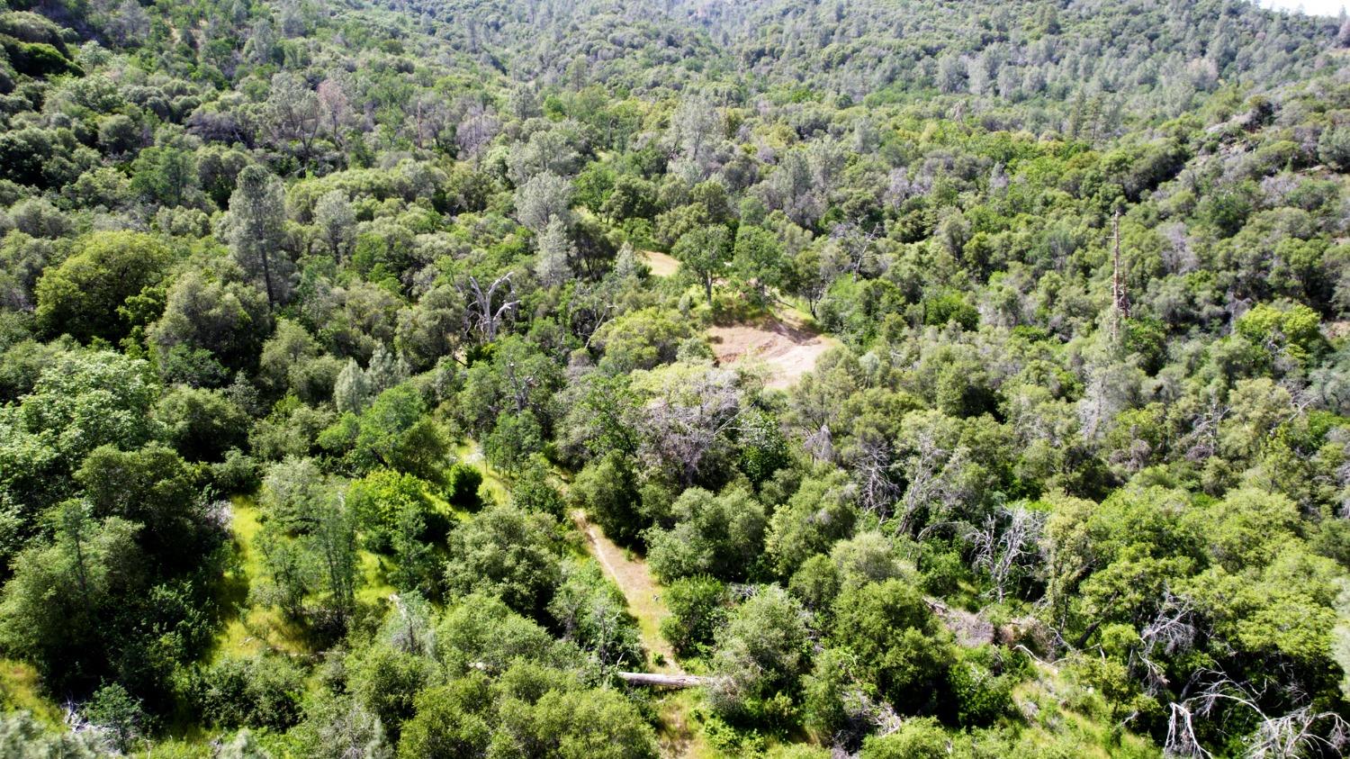 Vacant Lot in Coarsegold - photo 2