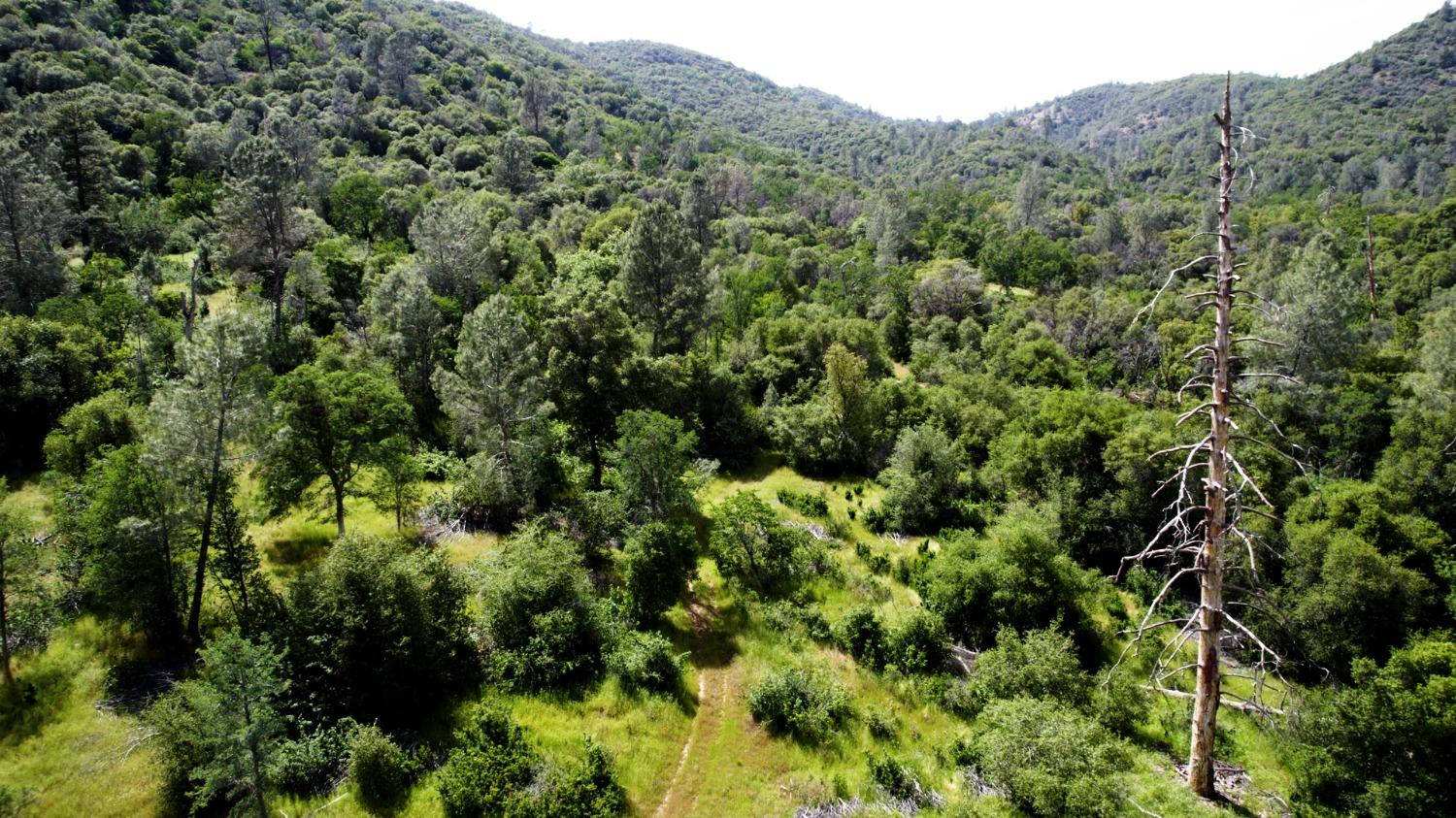 Vacant Lot in Coarsegold