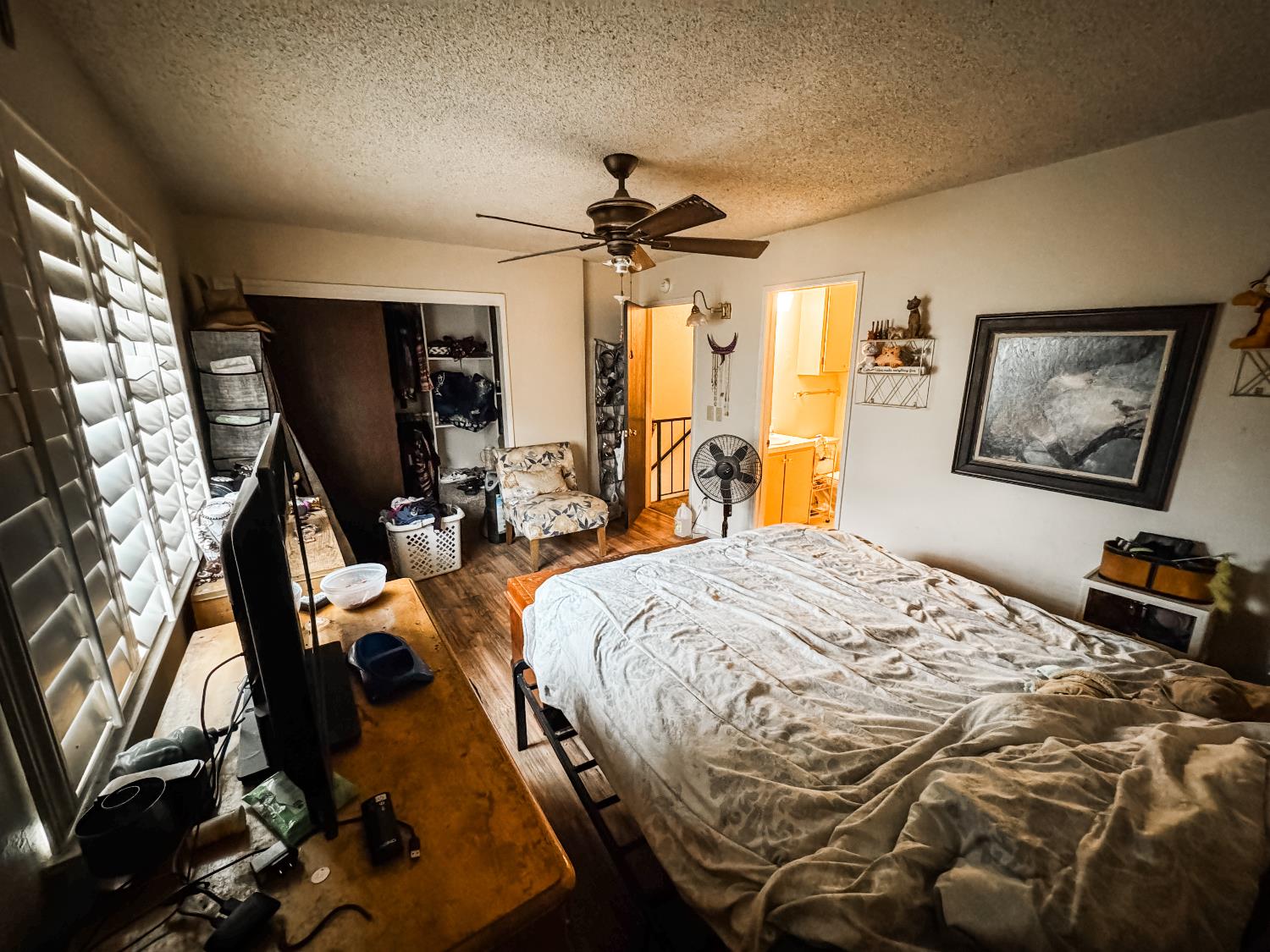 Photo 19