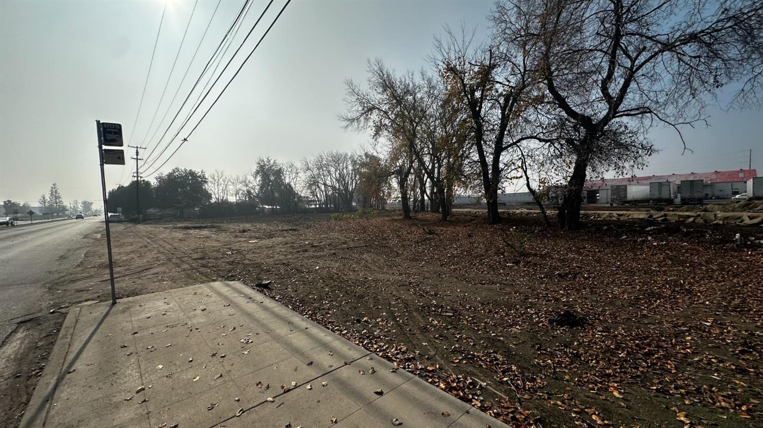 Vacant Lot in Fresno - photo 3