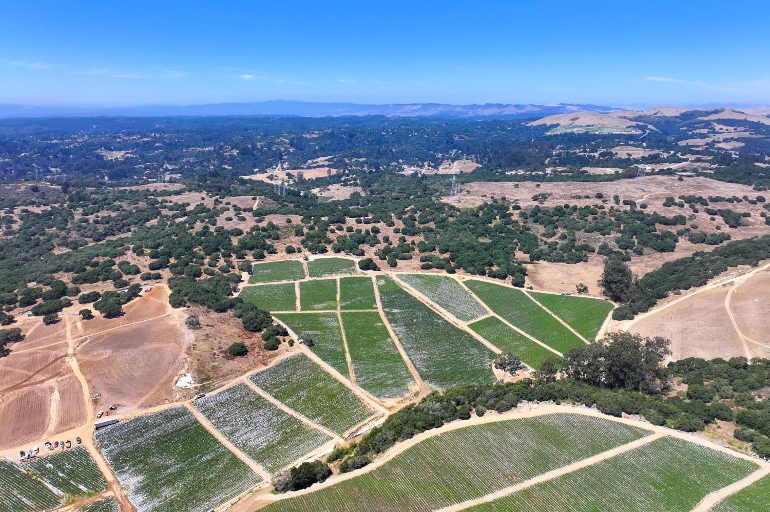 0 San Juan Grade Road, Salinas, CA, 93906