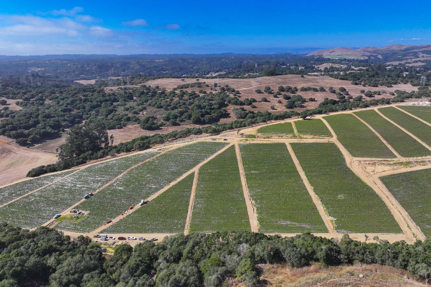 0 San Juan Grade Road, Salinas, CA, 93906