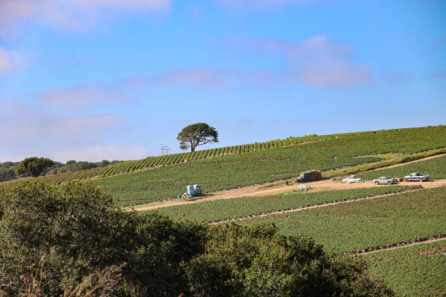 0 San Juan Grade Road, Salinas, CA, 93906