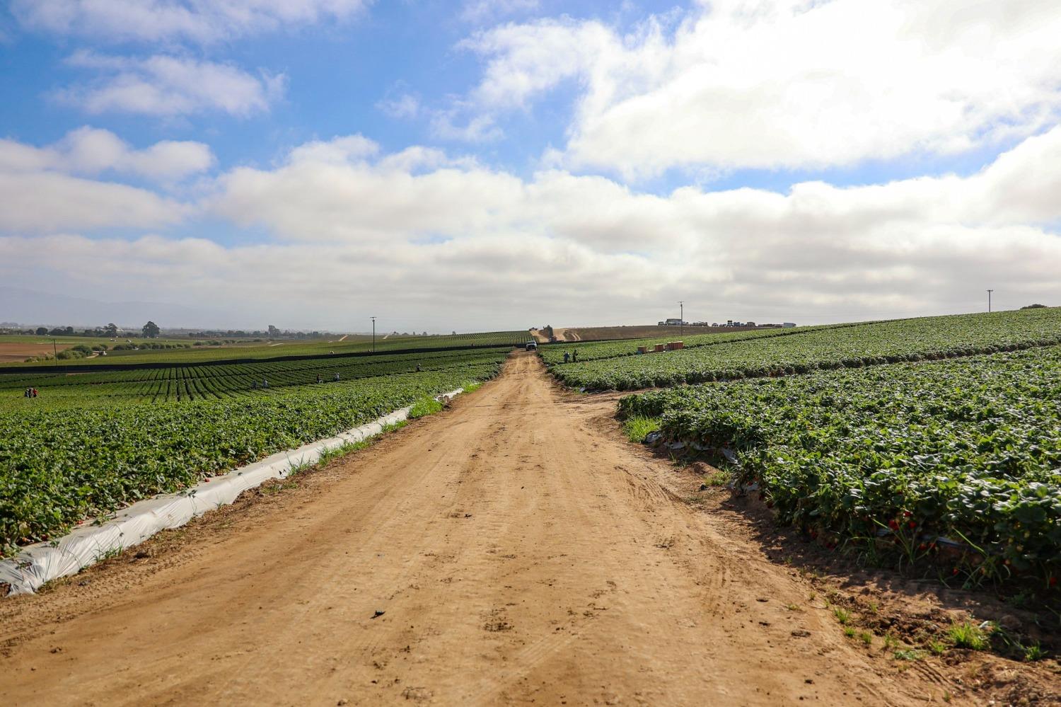 0 San Juan Grade Road, Salinas, CA, 93906