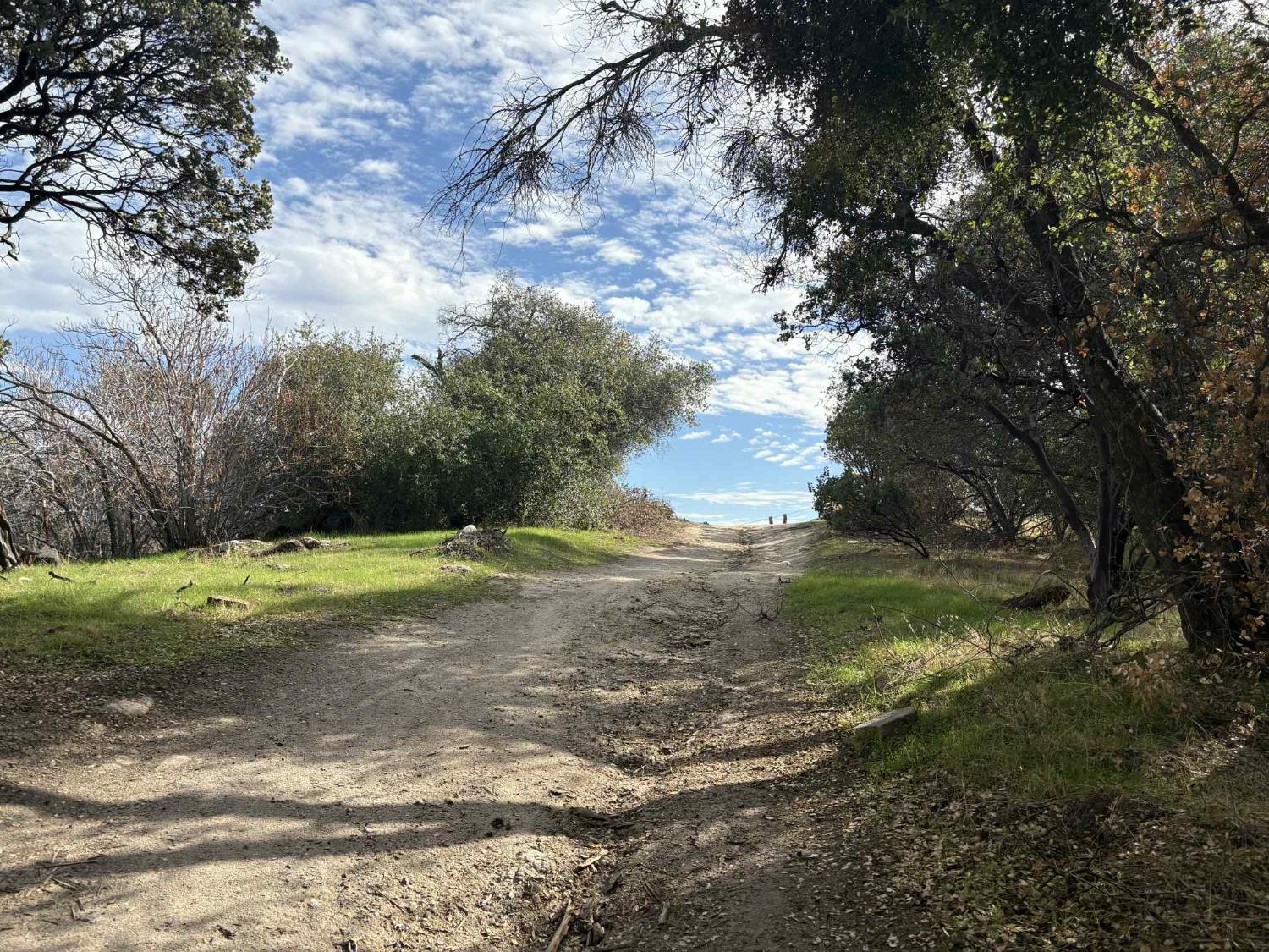 <p>Featured Listings</p>