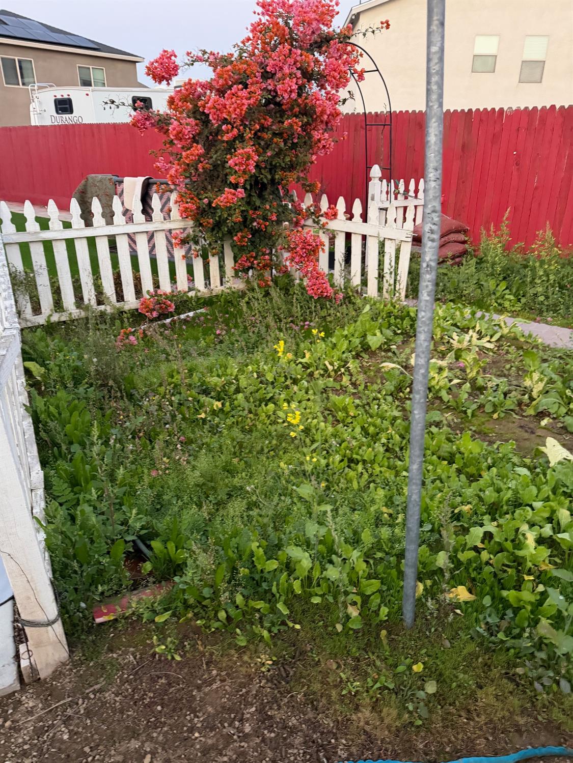 1616 N Delbert Avenue, Fresno, CA, 93722