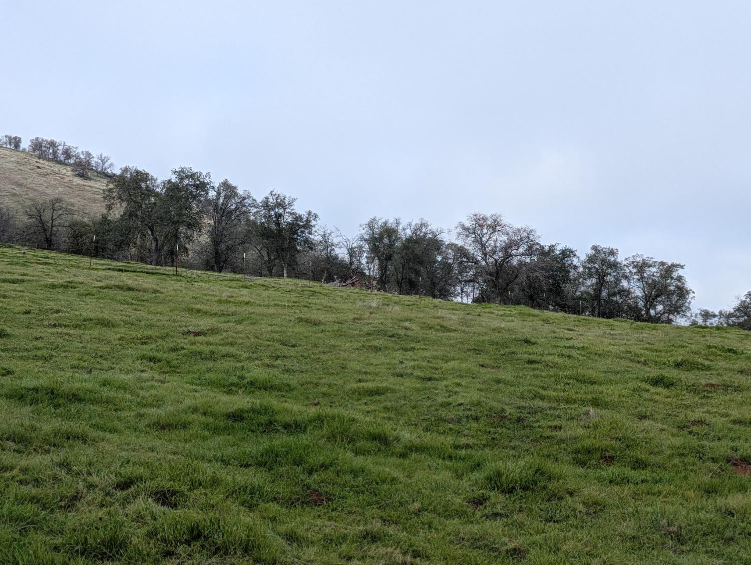 Vacant Lot in Sanger - photo 2
