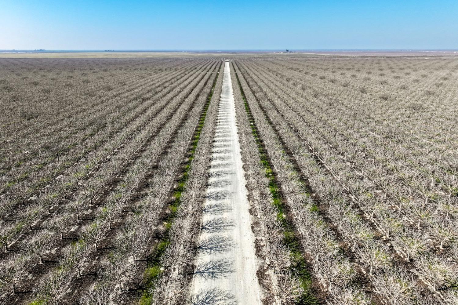 0 Avenue 16, Allensworth, CA, 93219