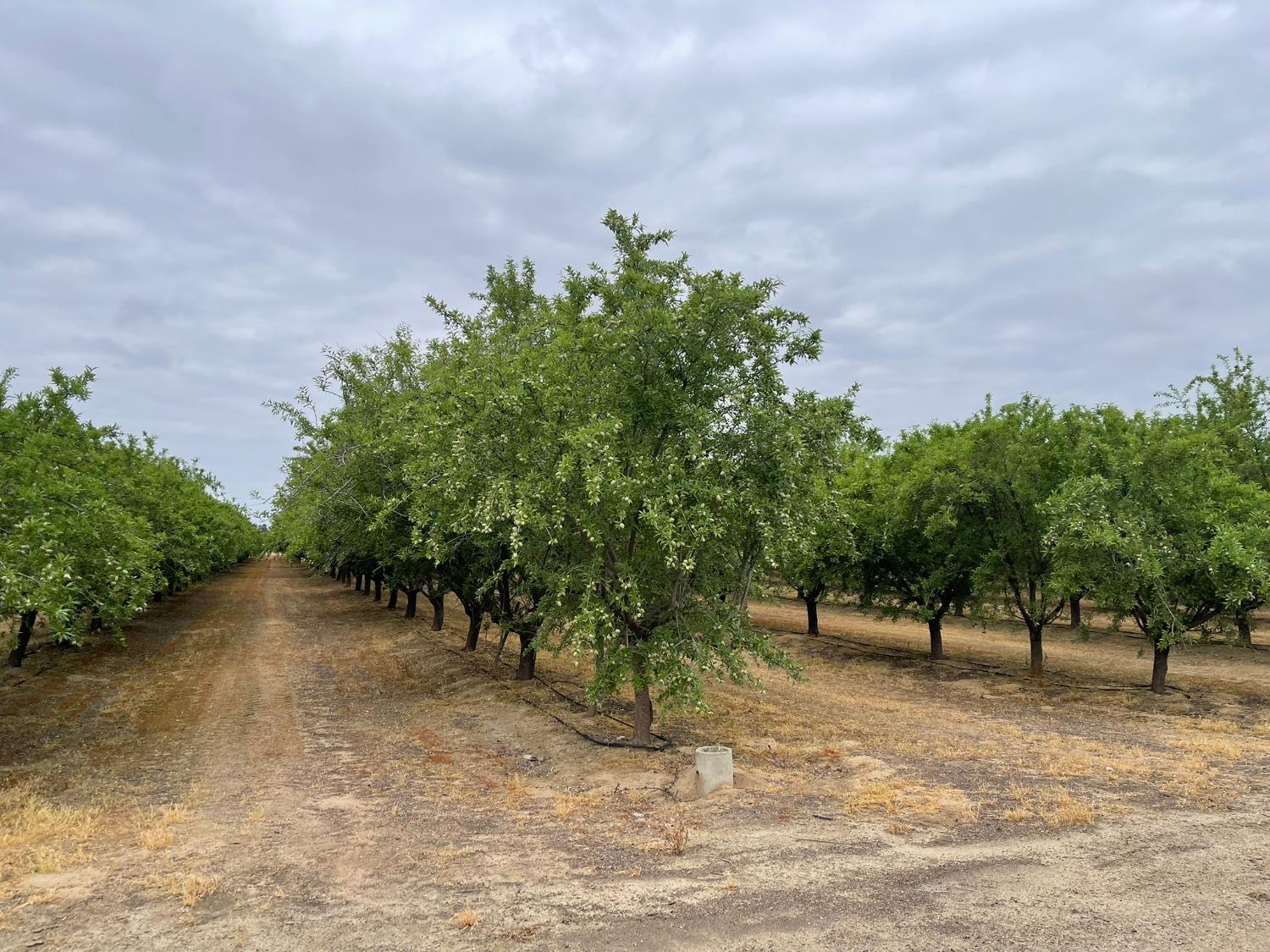 MADERA