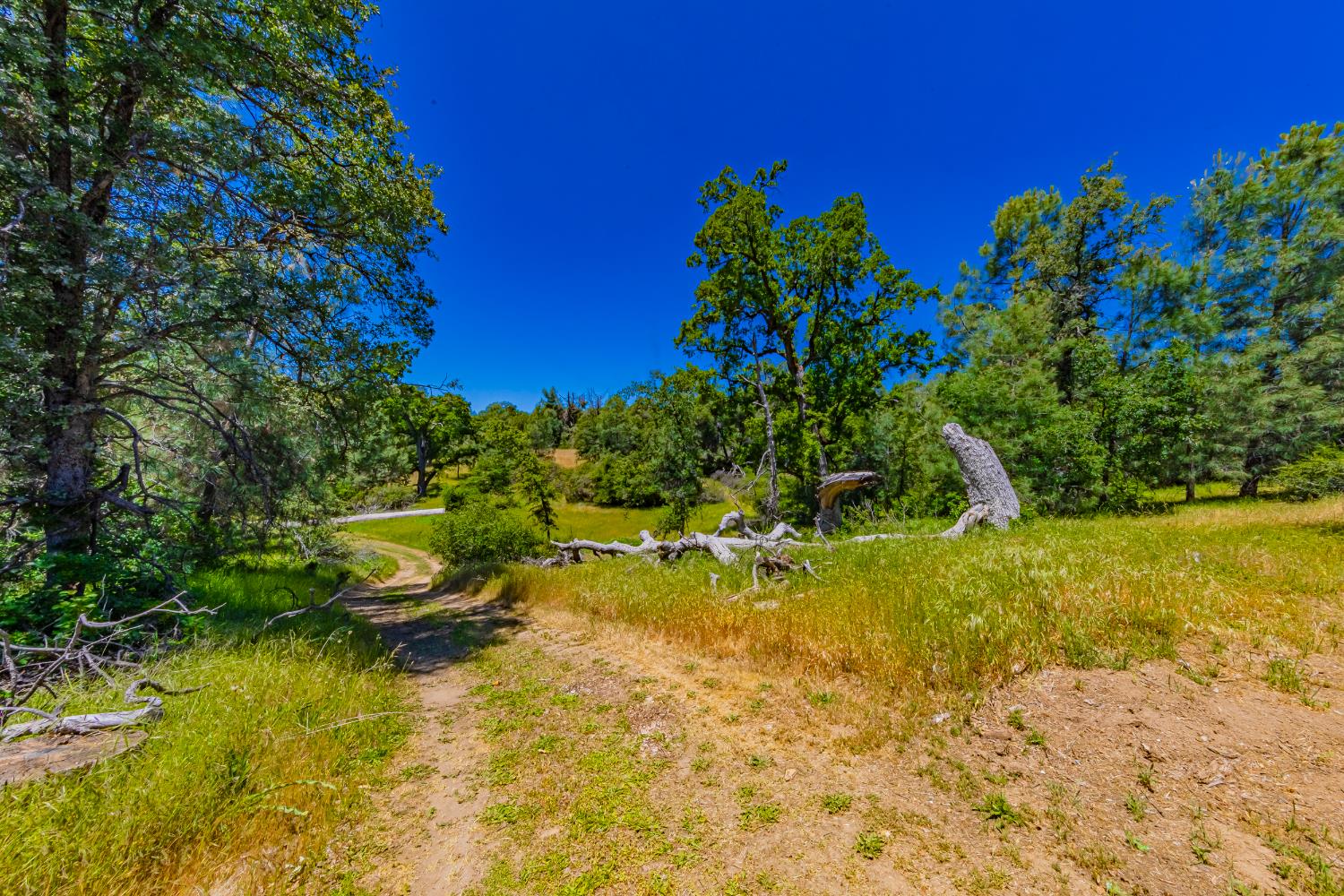 47457 Road 620, Oakhurst, CA, 93644