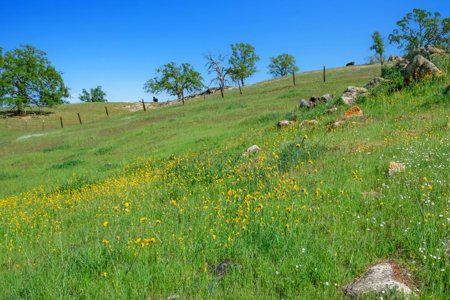 19623 Road 211, Friant, CA, 93626 19623 Road 211, Friant, CA, 93626