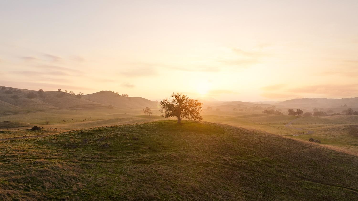 19623 Road 211, Friant, CA, 93626 19623 Road 211, Friant, CA, 93626