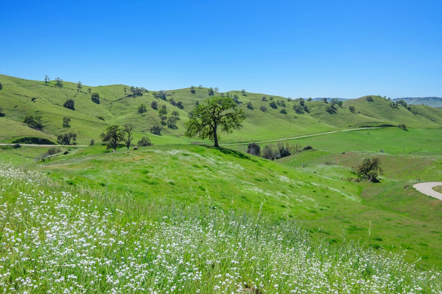 19623 Road 211, Friant, CA, 93626 19623 Road 211, Friant, CA, 93626