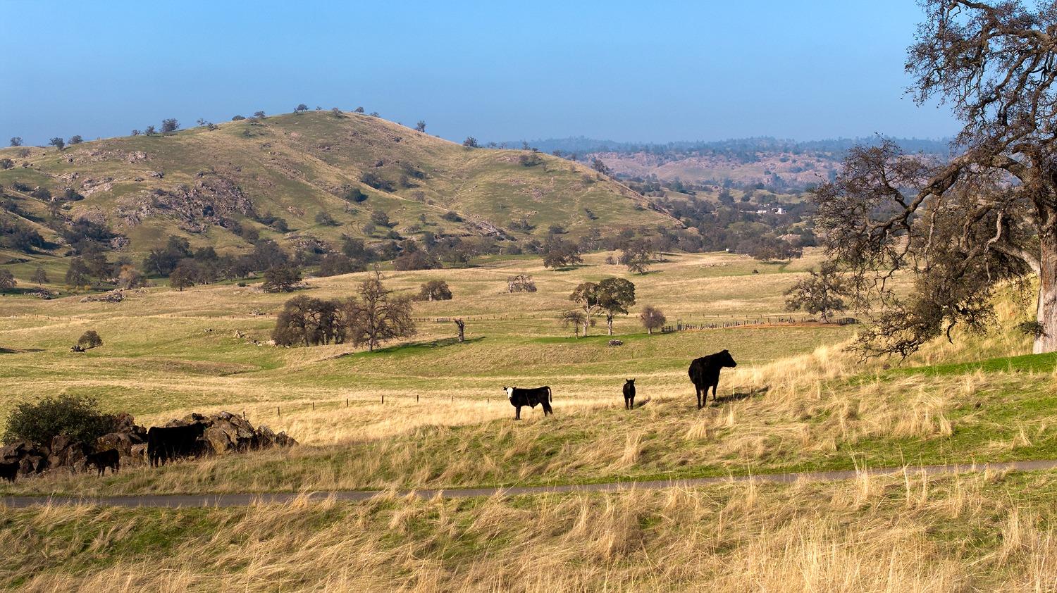 19623 Road 211, Friant, CA, 93626 19623 Road 211, Friant, CA, 93626