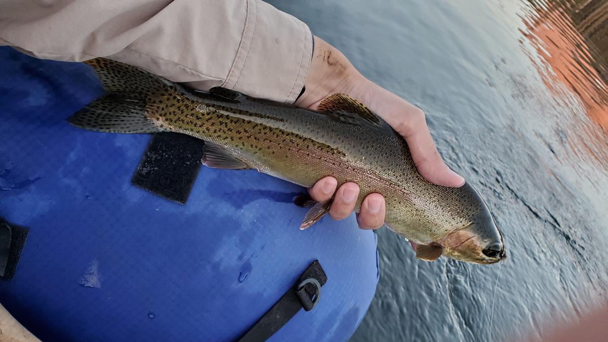 56261 Manzanita Lake Drive, North Fork, CA, 93643