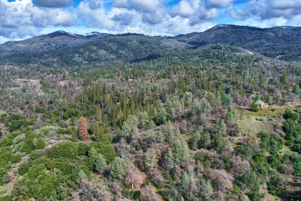 42583 Shady Lane, Oakhurst, CA, 93644