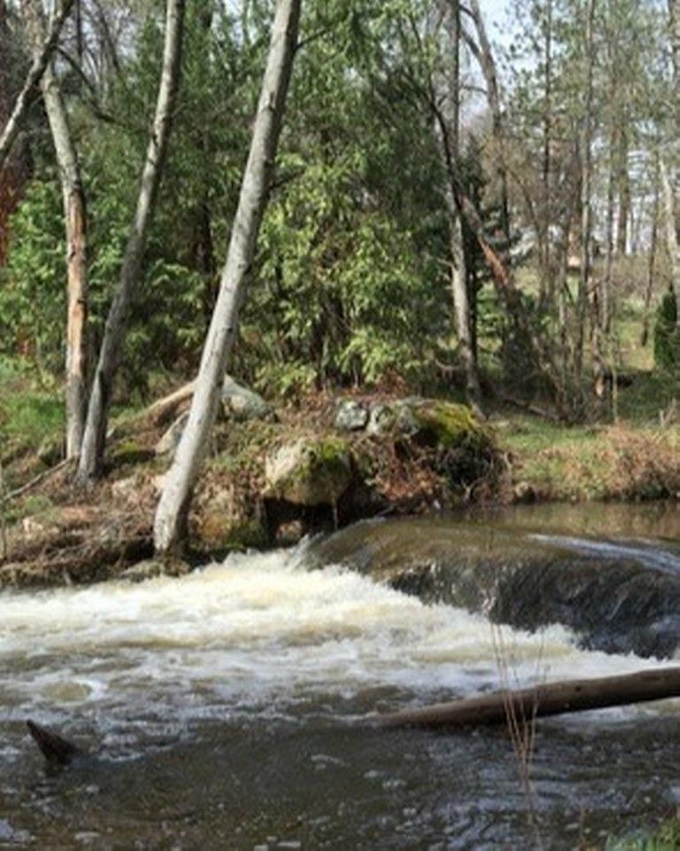 42583 Shady Lane, Oakhurst, CA, 93644