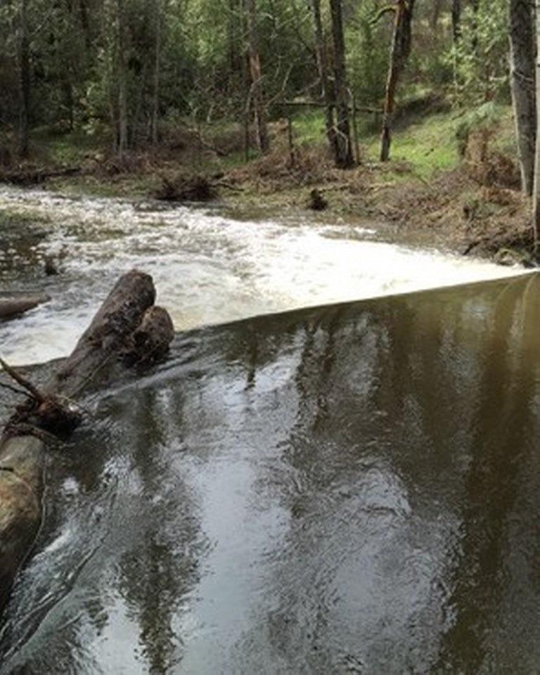 42583 Shady Lane, Oakhurst, CA, 93644