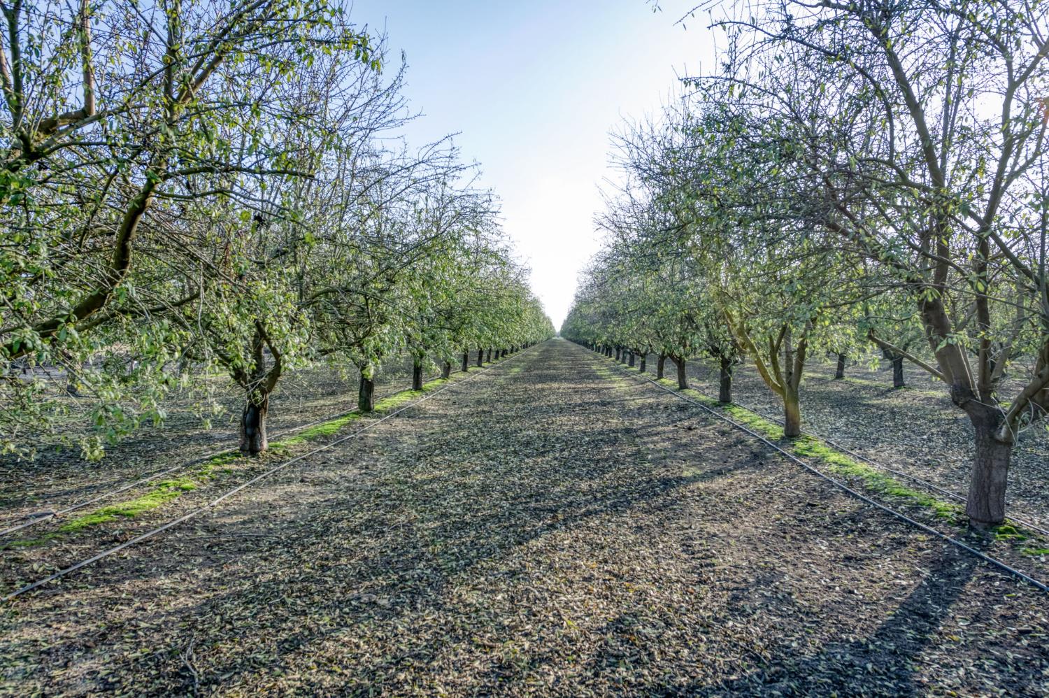 20880 Road 18, Chowchilla, CA, 93610