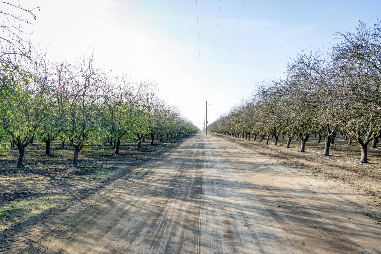 20880 Road 18, Chowchilla, CA, 93610