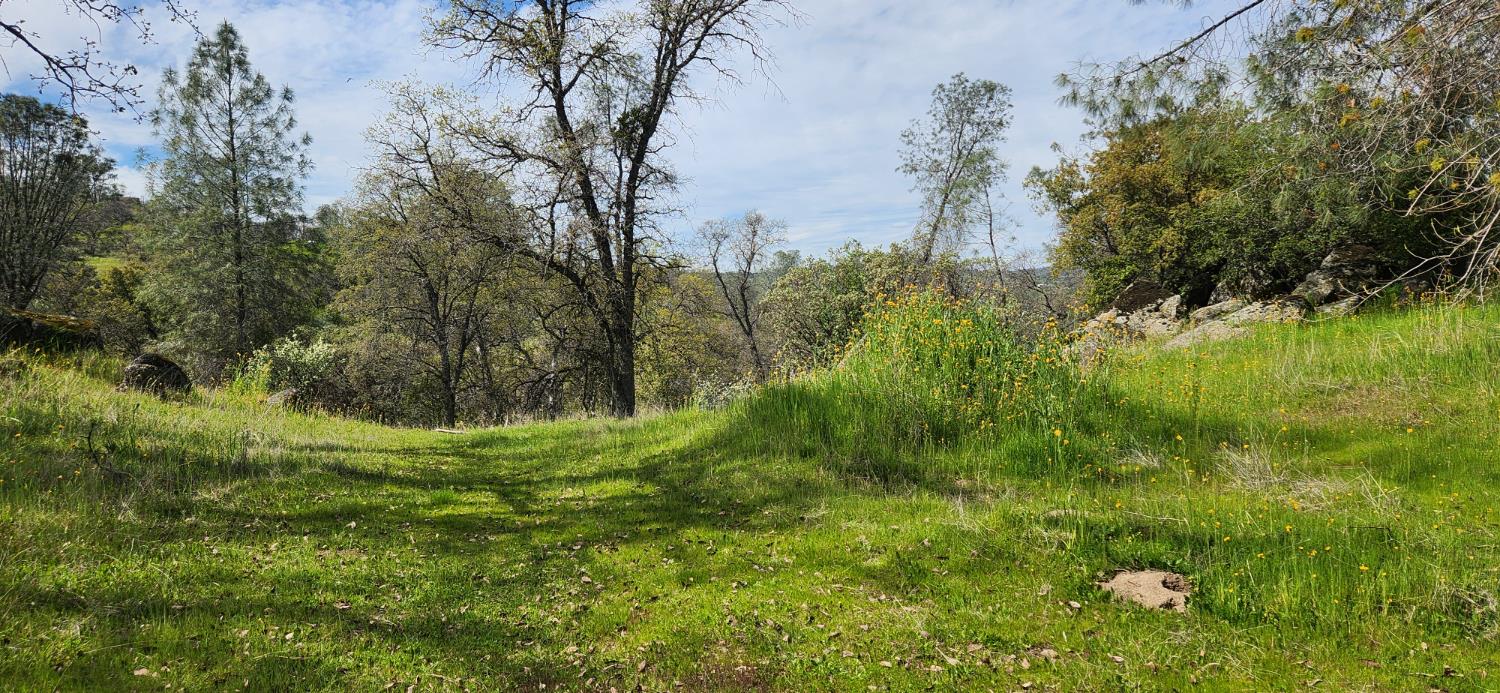 Vacant Lot in Coarsegold - photo 3