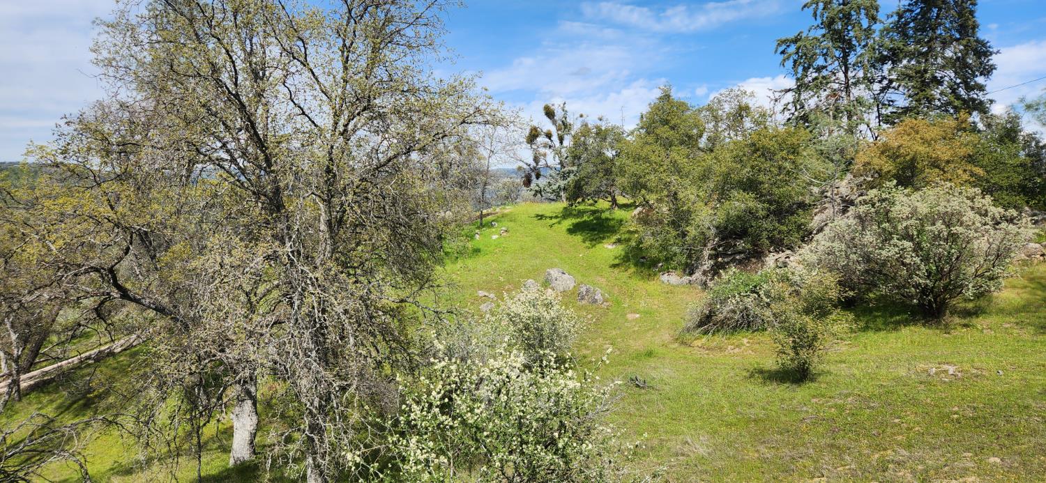 Vacant Lot in Coarsegold - photo 2