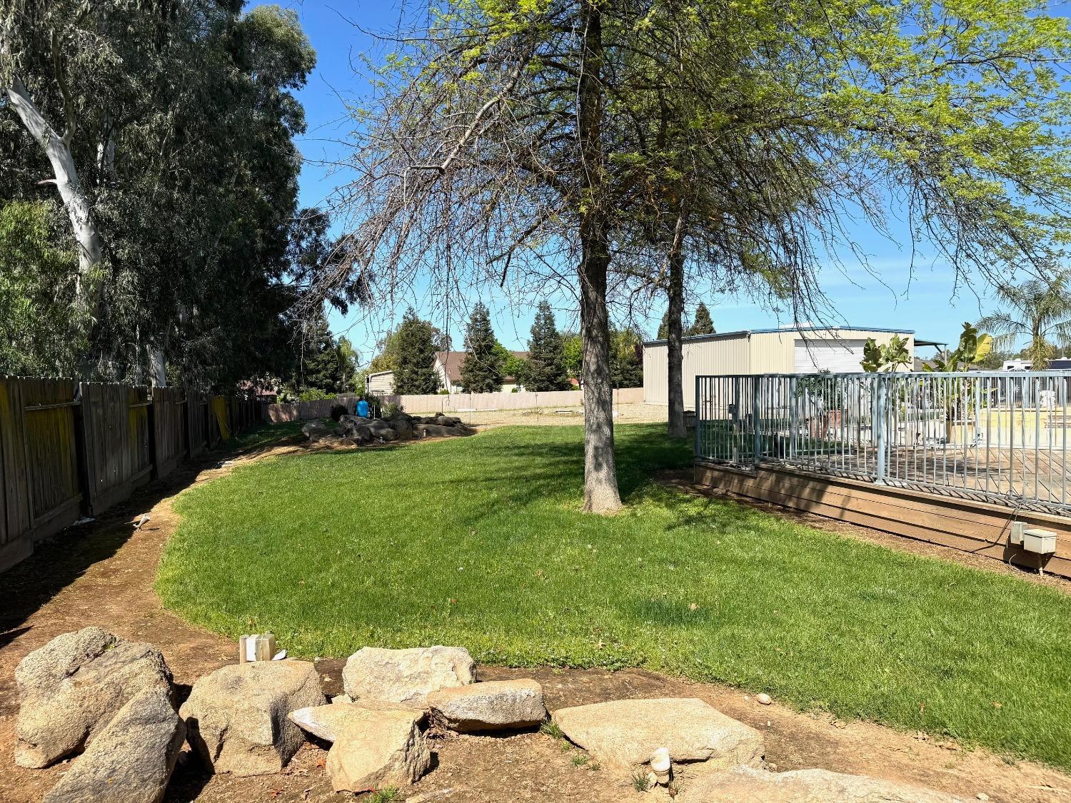 Photo 16