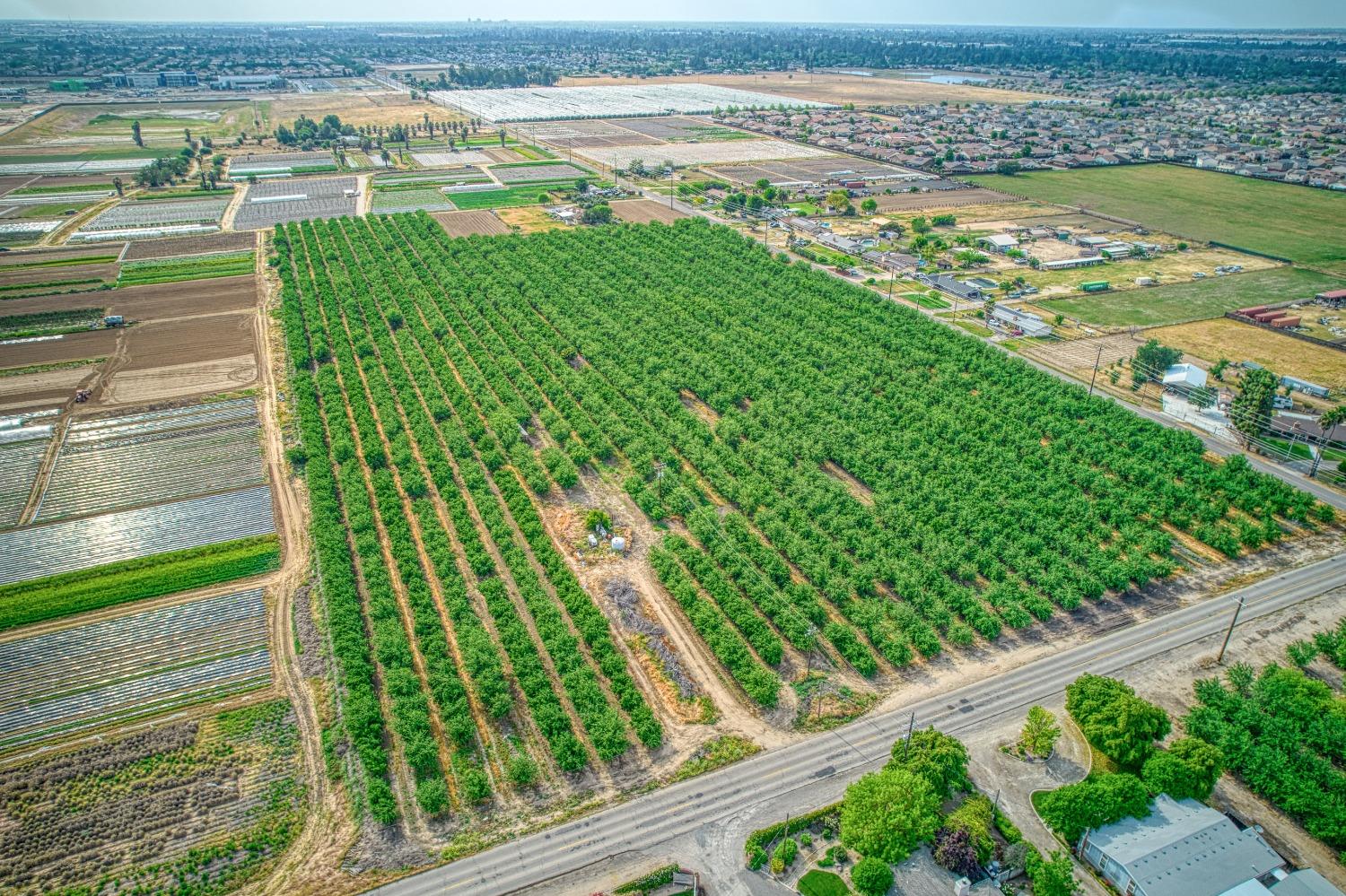 Farm in Fresno - photo 3