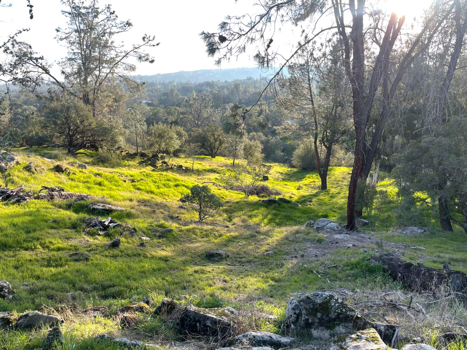 Vacant Lot in Coarsegold - photo 3