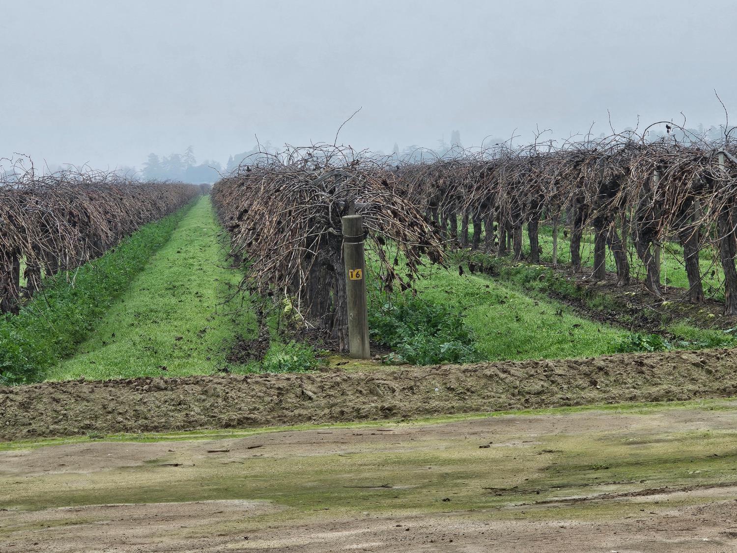 FRESNO