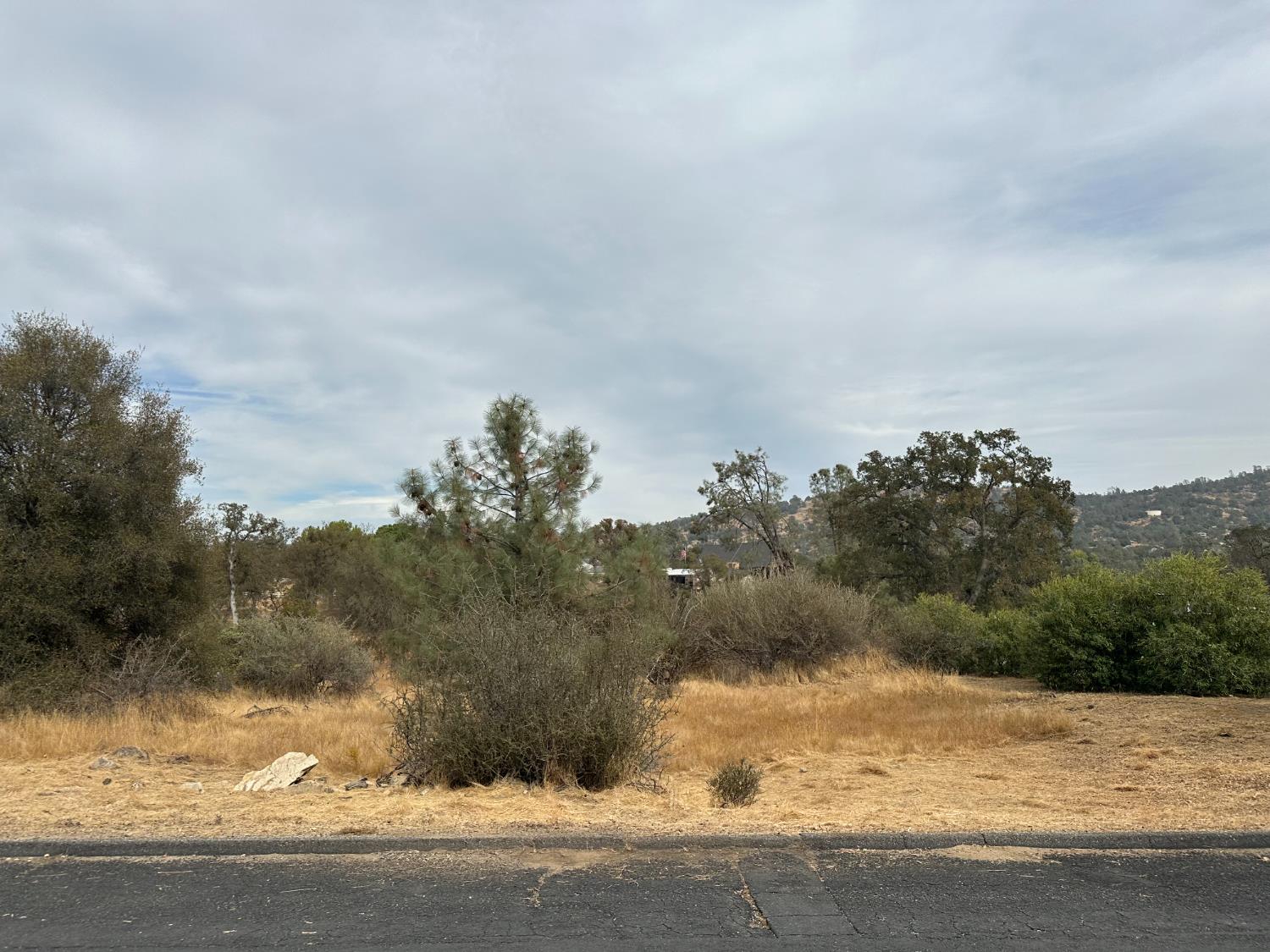 Vacant Lot in Coarsegold