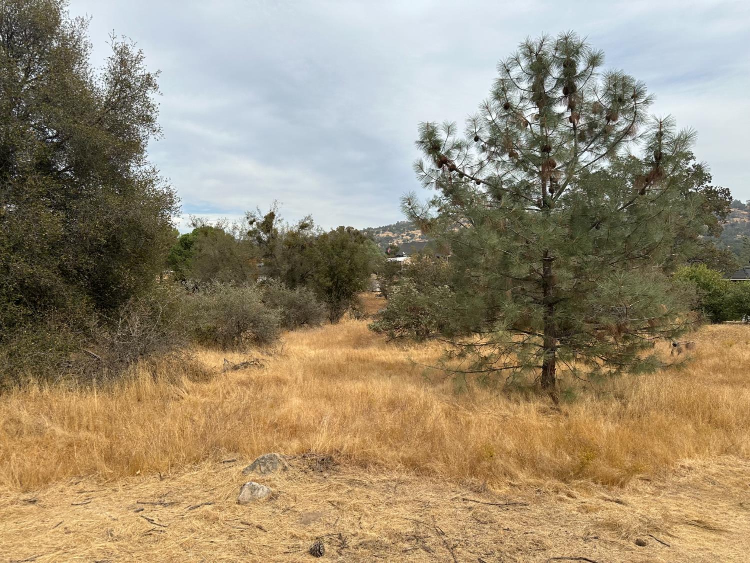 Vacant Lot in Coarsegold - photo 3