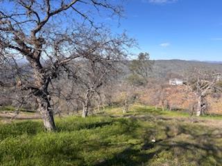 Vacant Lot in Coarsegold - photo 2