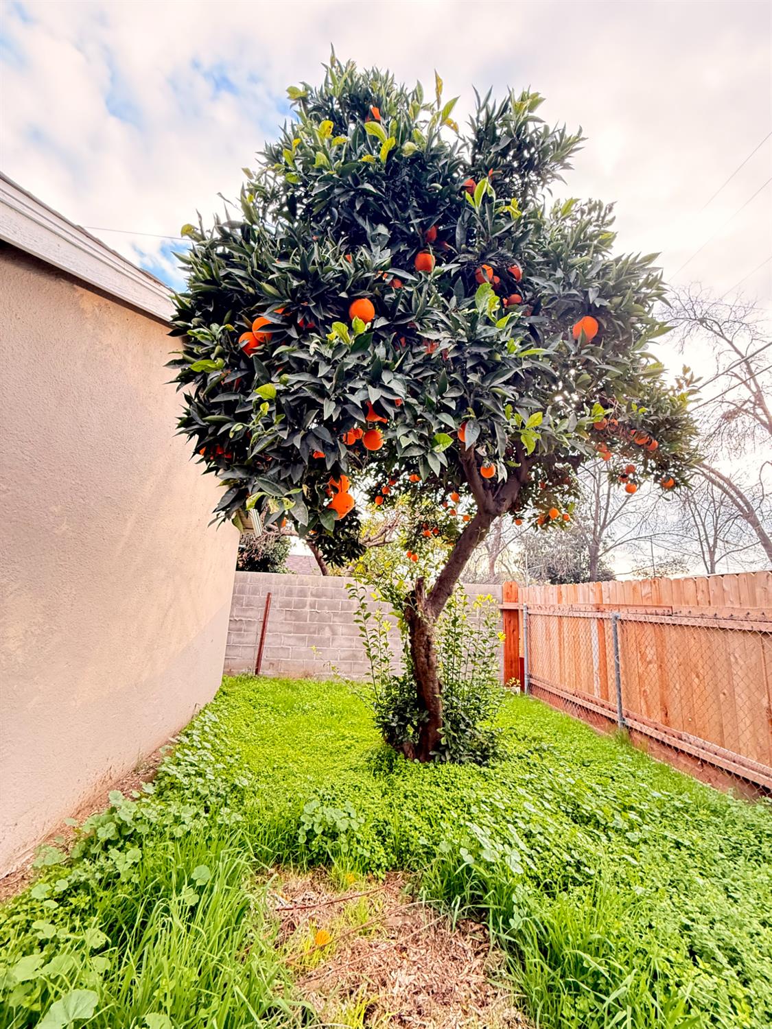 2338 Lotus Avenue, Fresno, CA, 93706