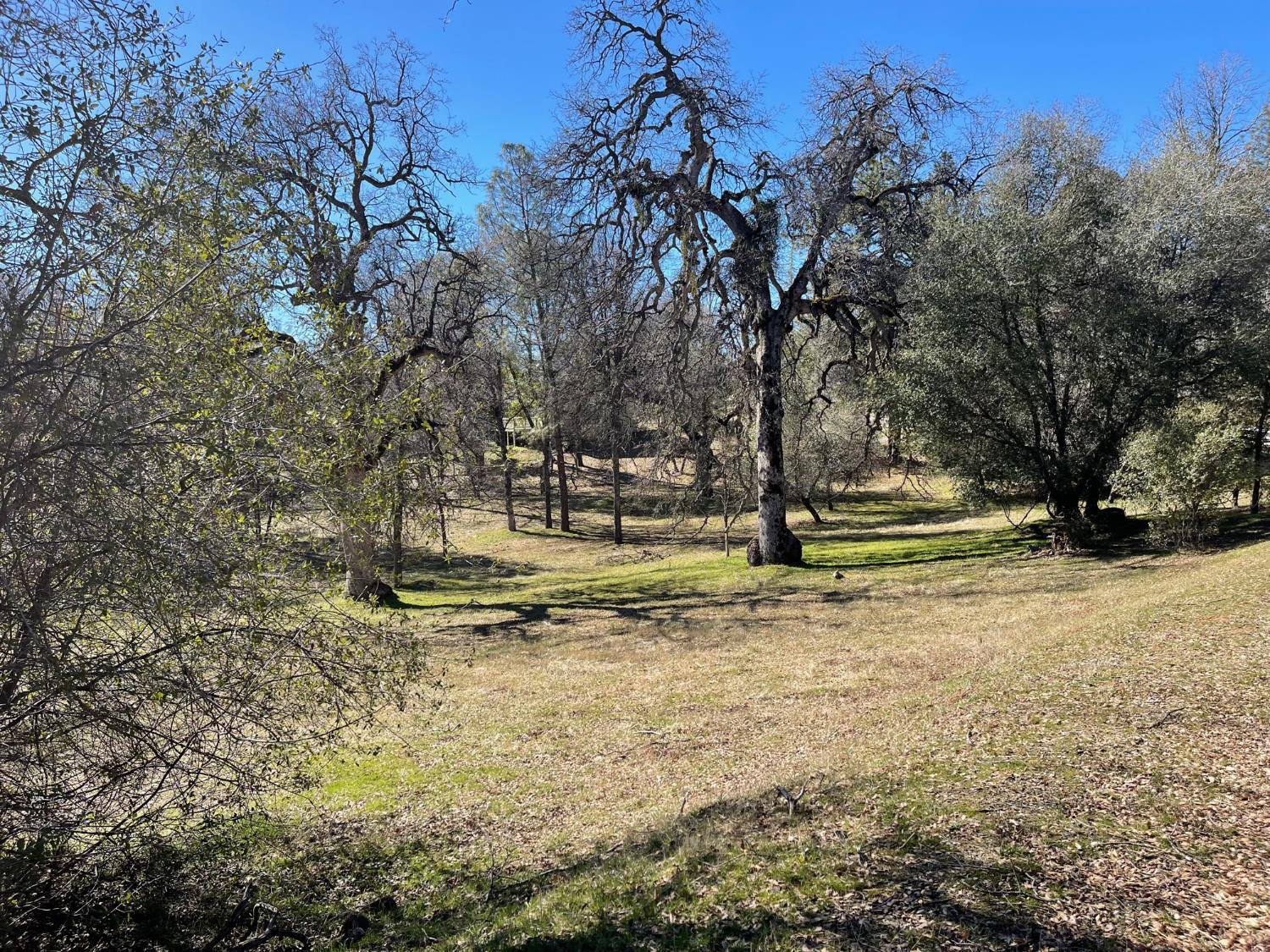 Vacant Lot in Coarsegold