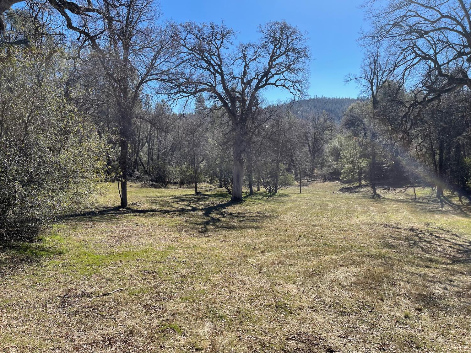 Vacant Lot in Coarsegold - photo 2