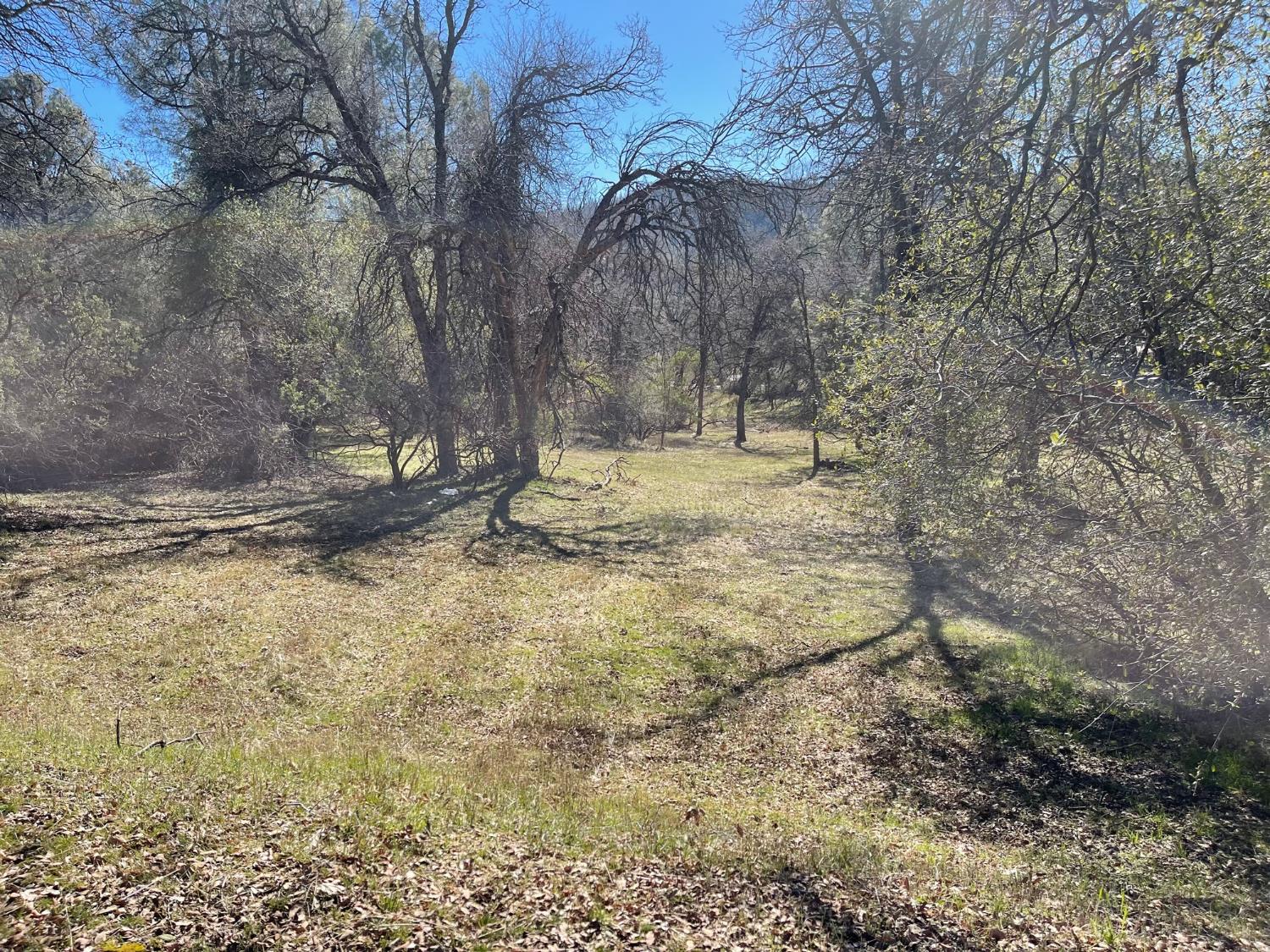Vacant Lot in Coarsegold - photo 3