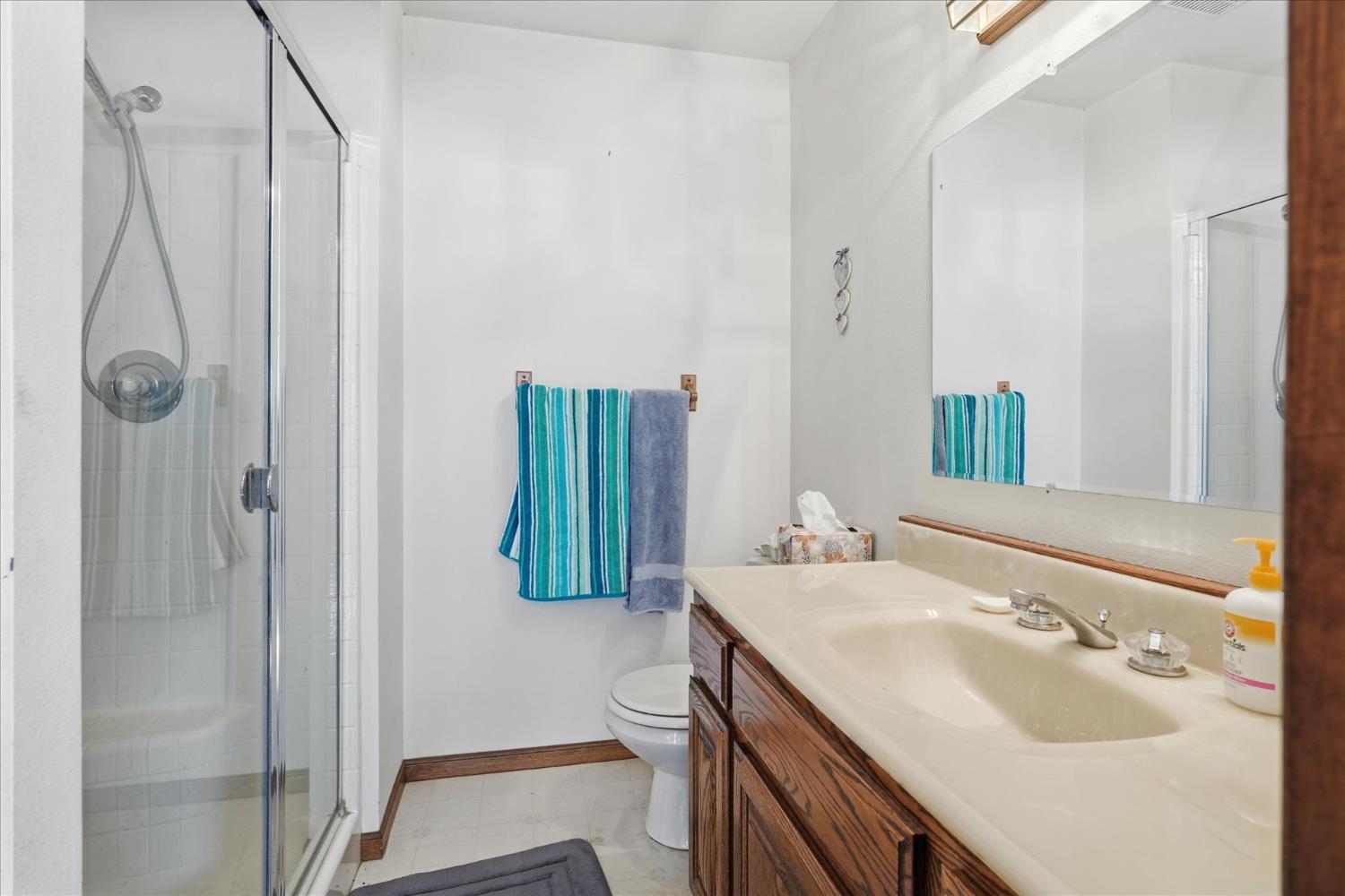 51590 Coyote Ridge Rd, Oakhurst, CA, 93644