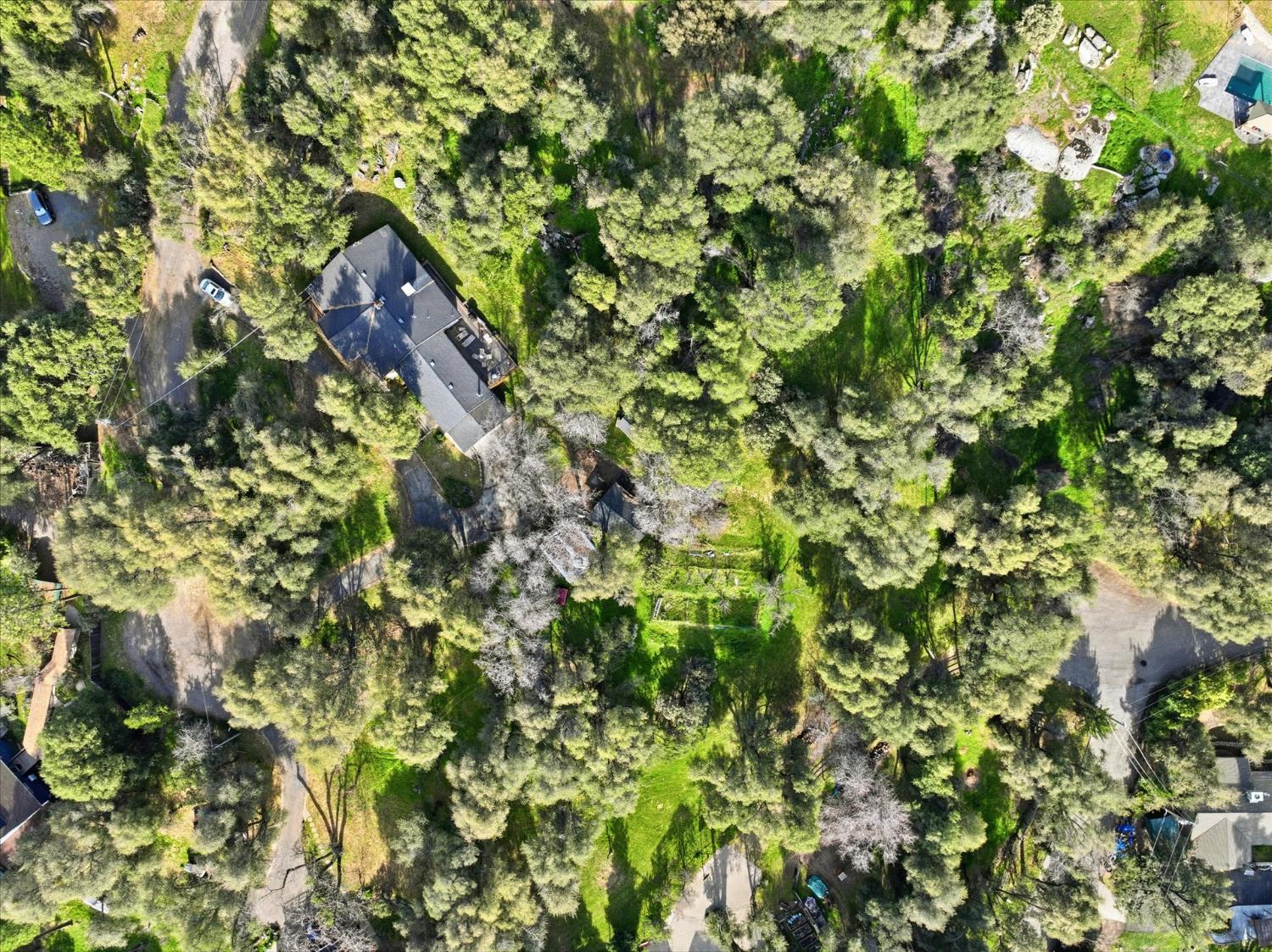 51590 Coyote Ridge Rd, Oakhurst, CA, 93644