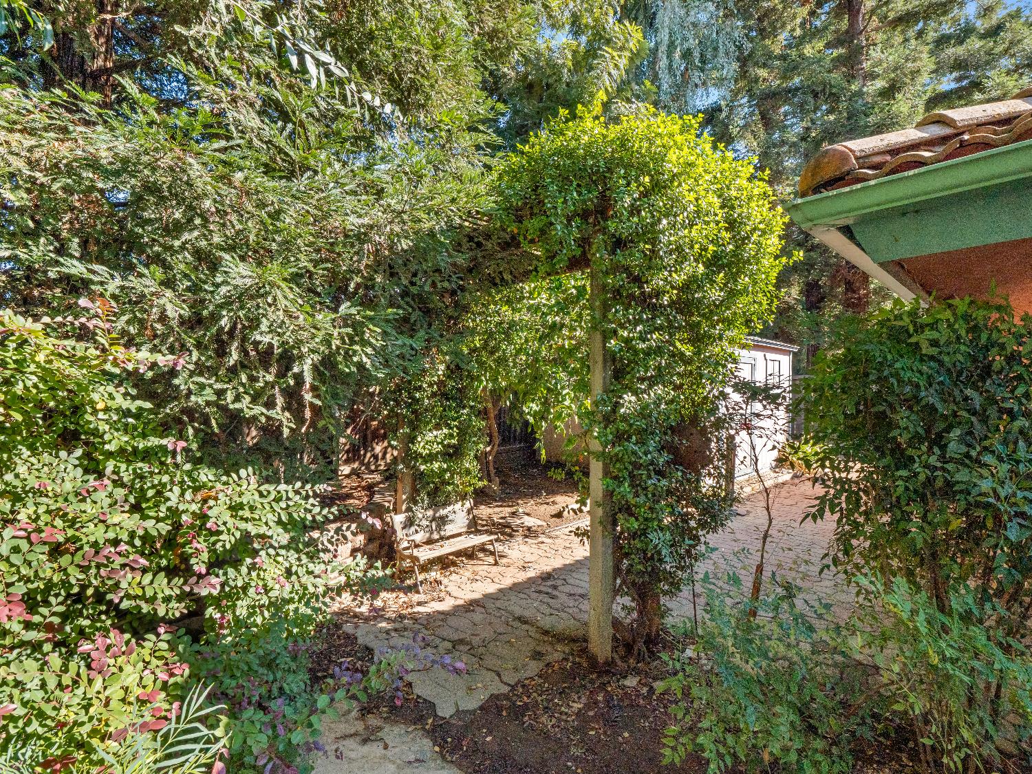 7258 N Pacific, Fresno, CA, 93711