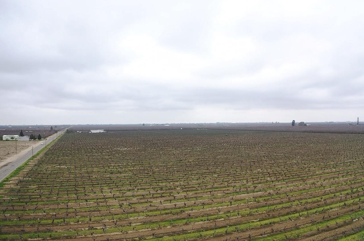 Farm in Madera - photo 2