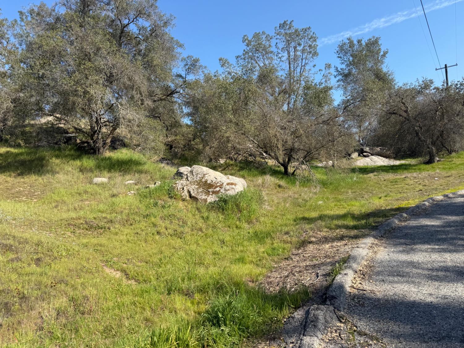 Vacant Lot in Coarsegold