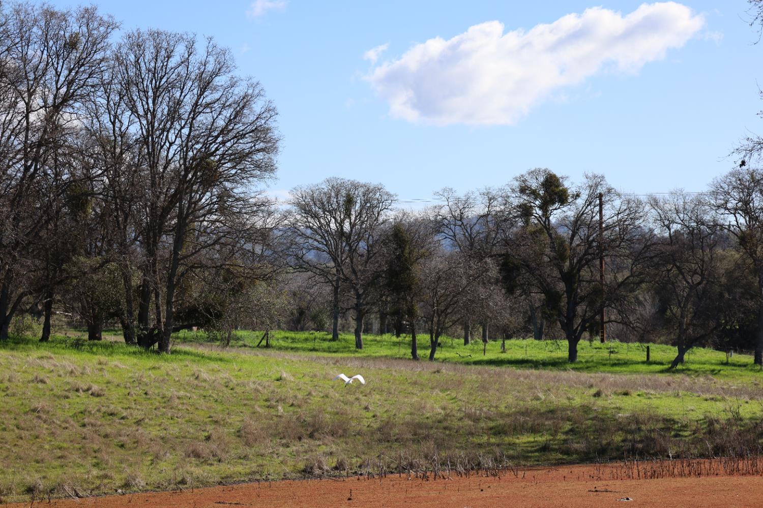 Vacant Lot in Coarsegold