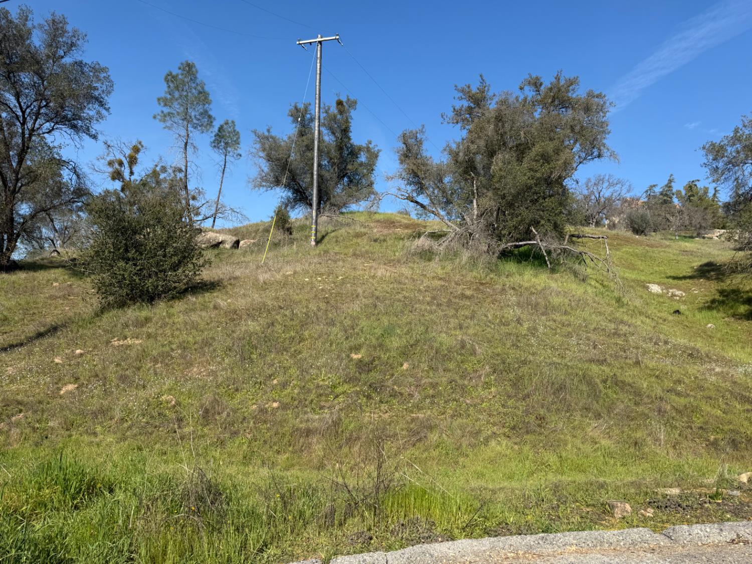 Vacant Lot in Coarsegold - photo 3