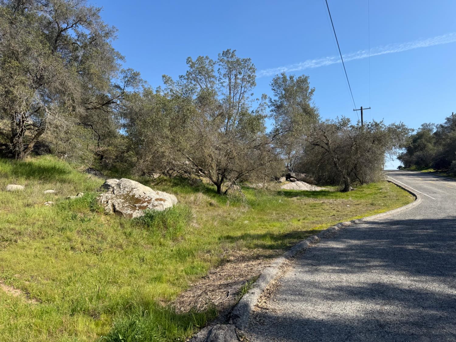Vacant Lot in Coarsegold - photo 2