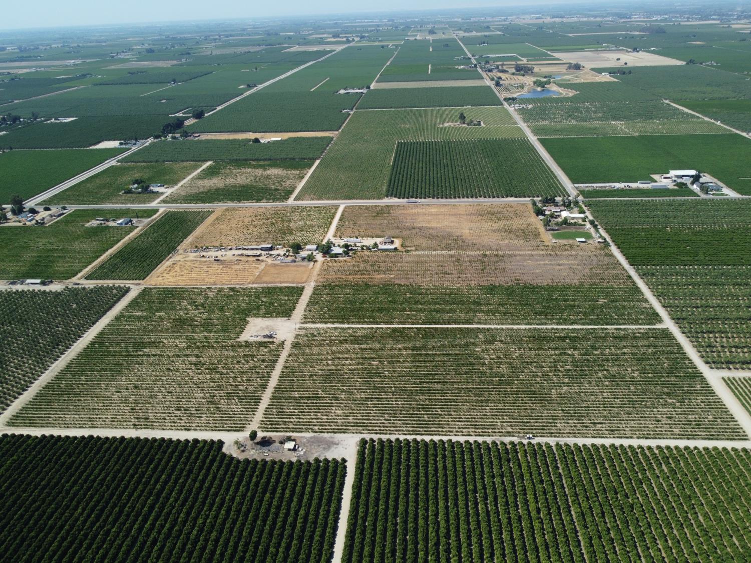 Farm in Selma - photo 3