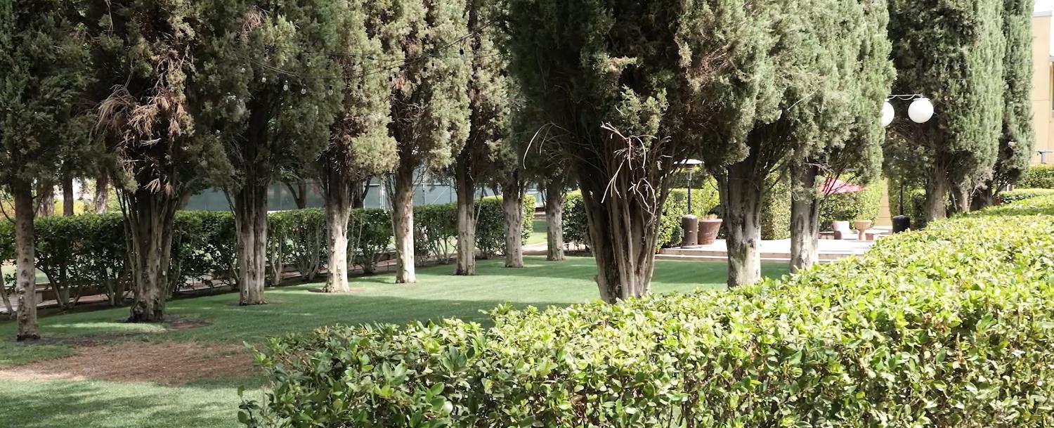 12950 N Willow Avenue, Clovis, CA, 93619
