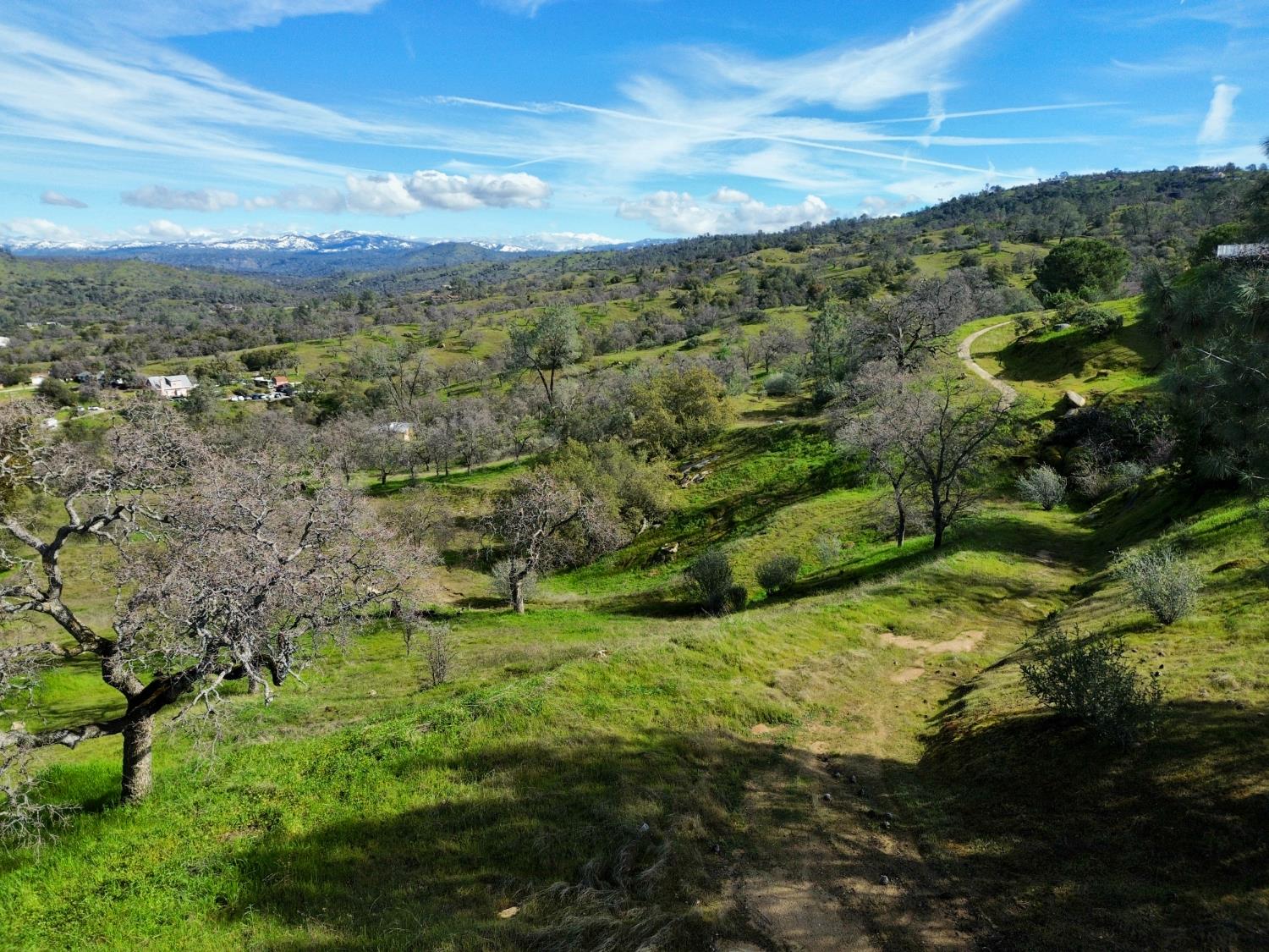 Vacant Lot in Coarsegold