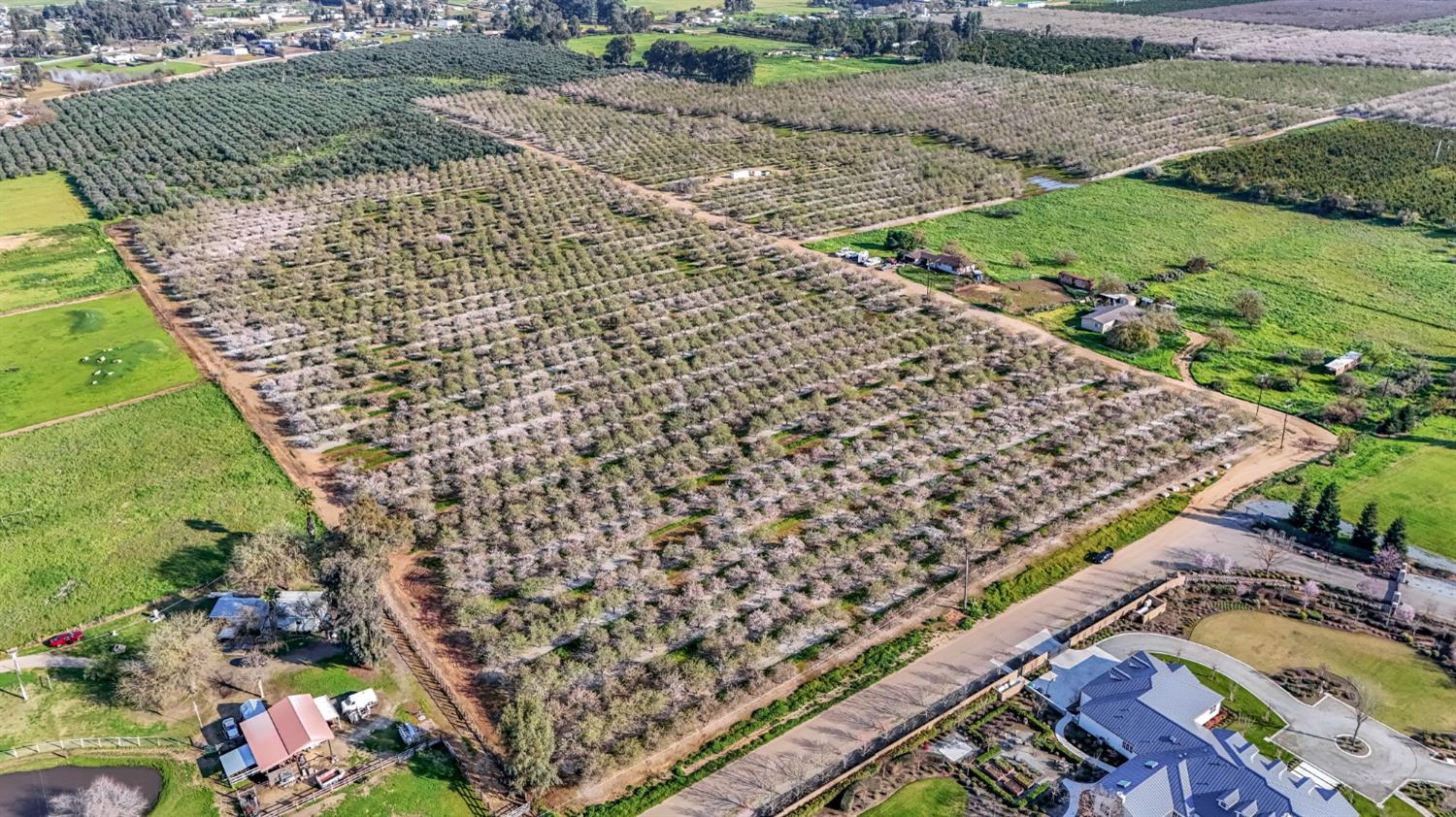 Farm in Clovis - photo 2